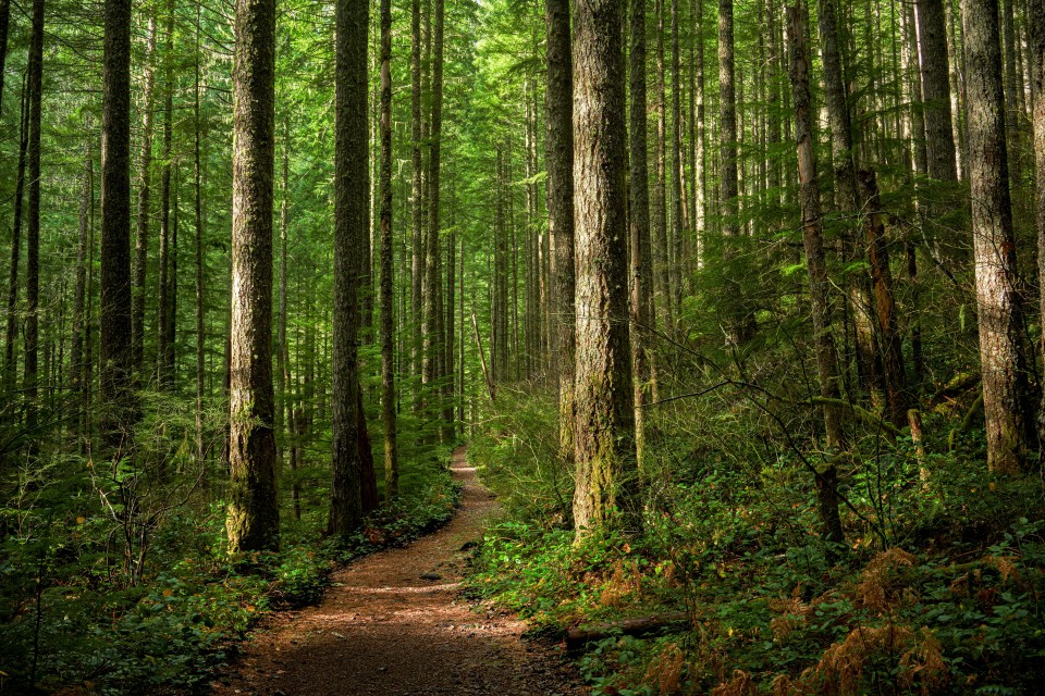 AdobeStock_322007846-960x640