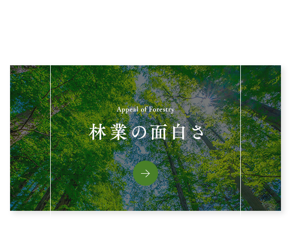 林業の面白さ